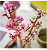 لِگو LEGO کد ۴۰۷۲۵ – «شاخههای شکوفهی گیلاس» (Cherry Blossoms)