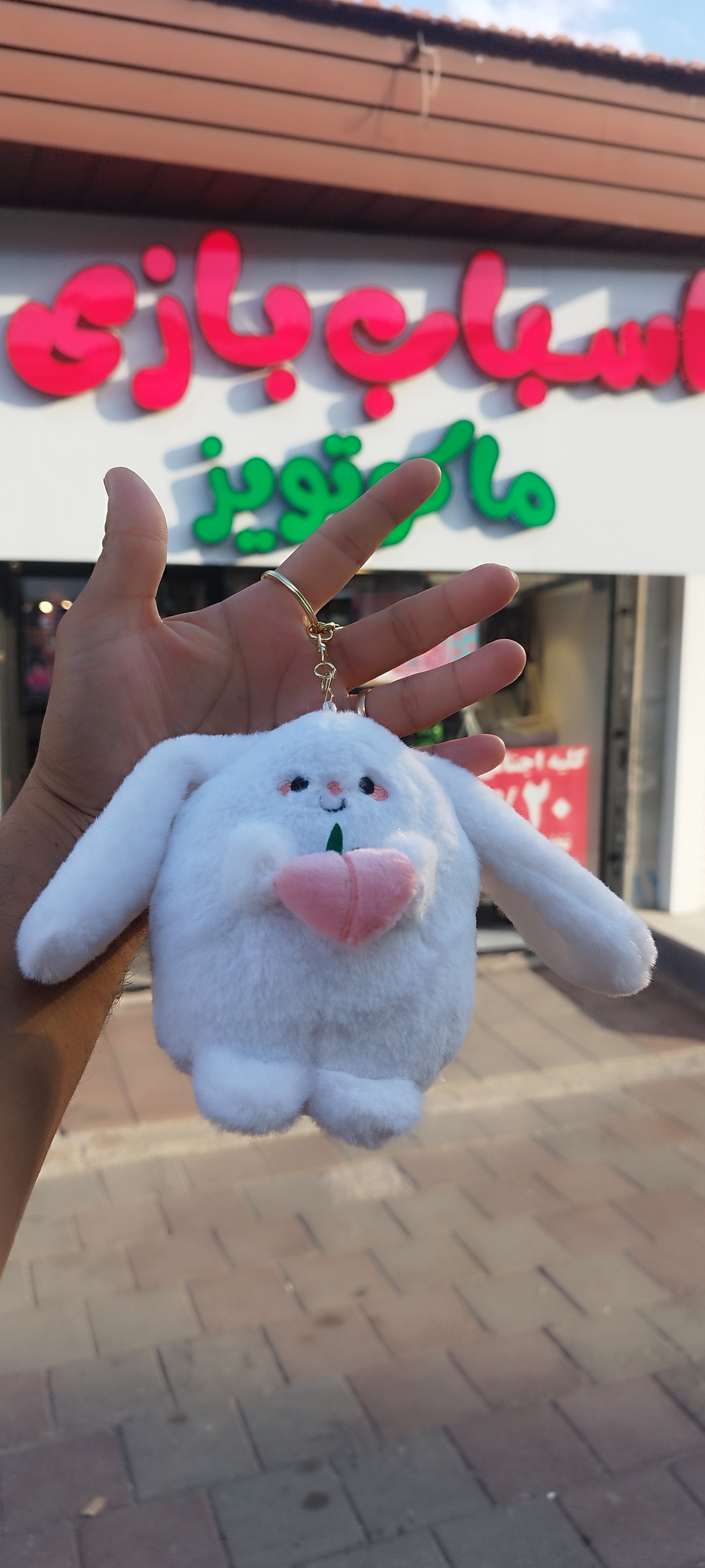 جاکلیدی خرگوش تپل